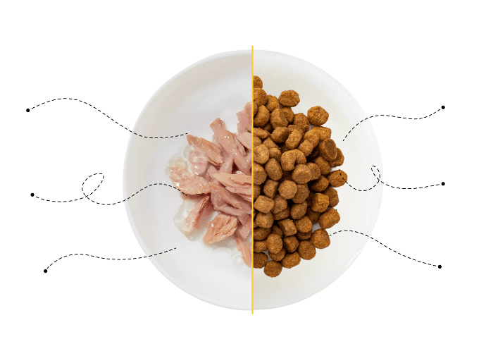 schesir mix feeding bowl, in one side schesir wet food and another side schesir dry food kibble. image