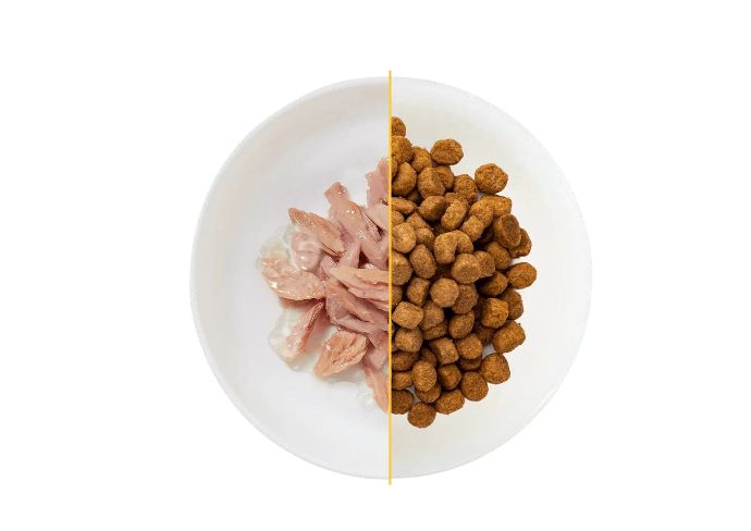 mix feeding bowl, in one side schesir wet food and another side schesir dry food kibbles. image