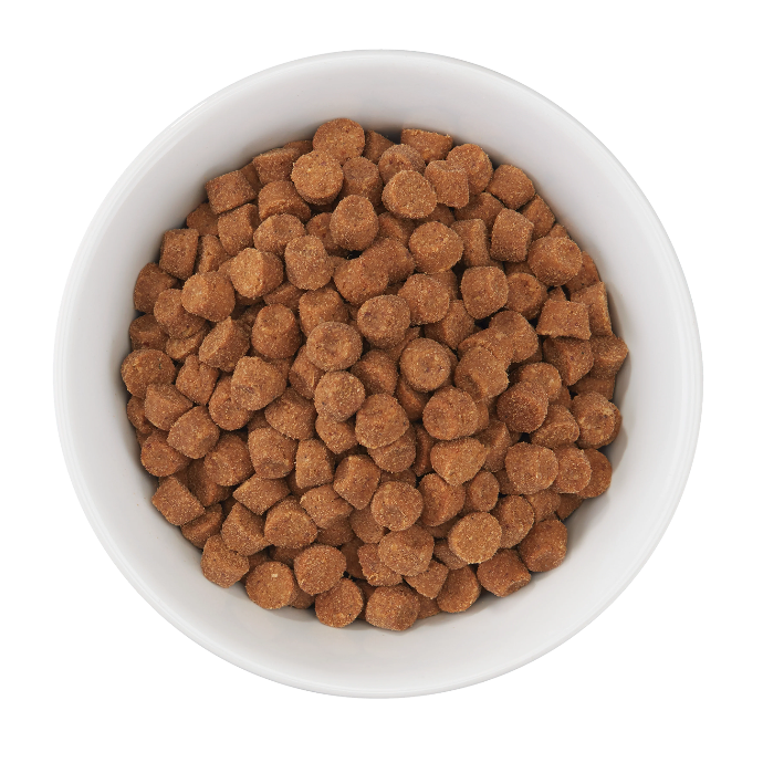 schesir dry food bowl